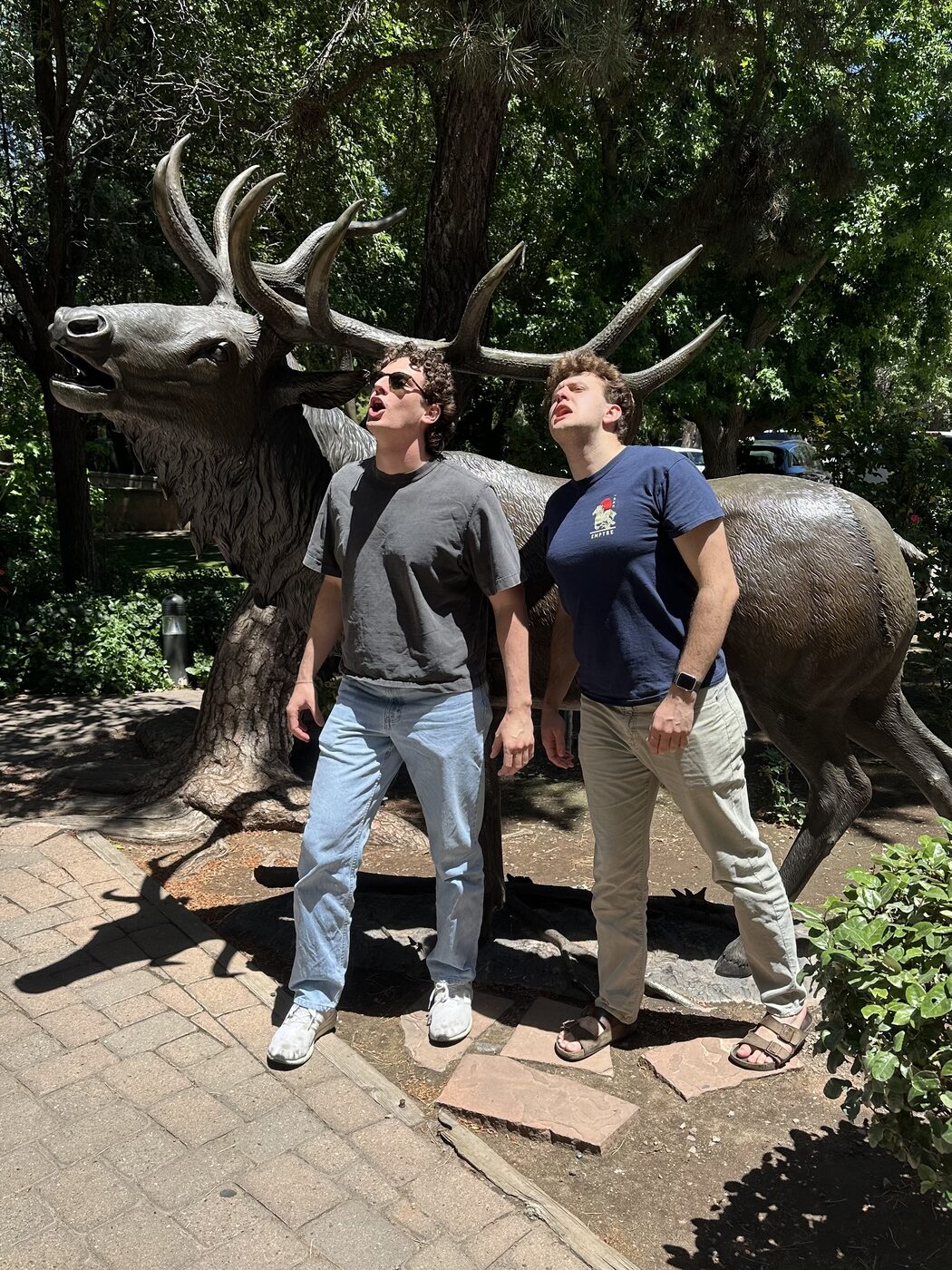Two friends looking up beside a large elk statue