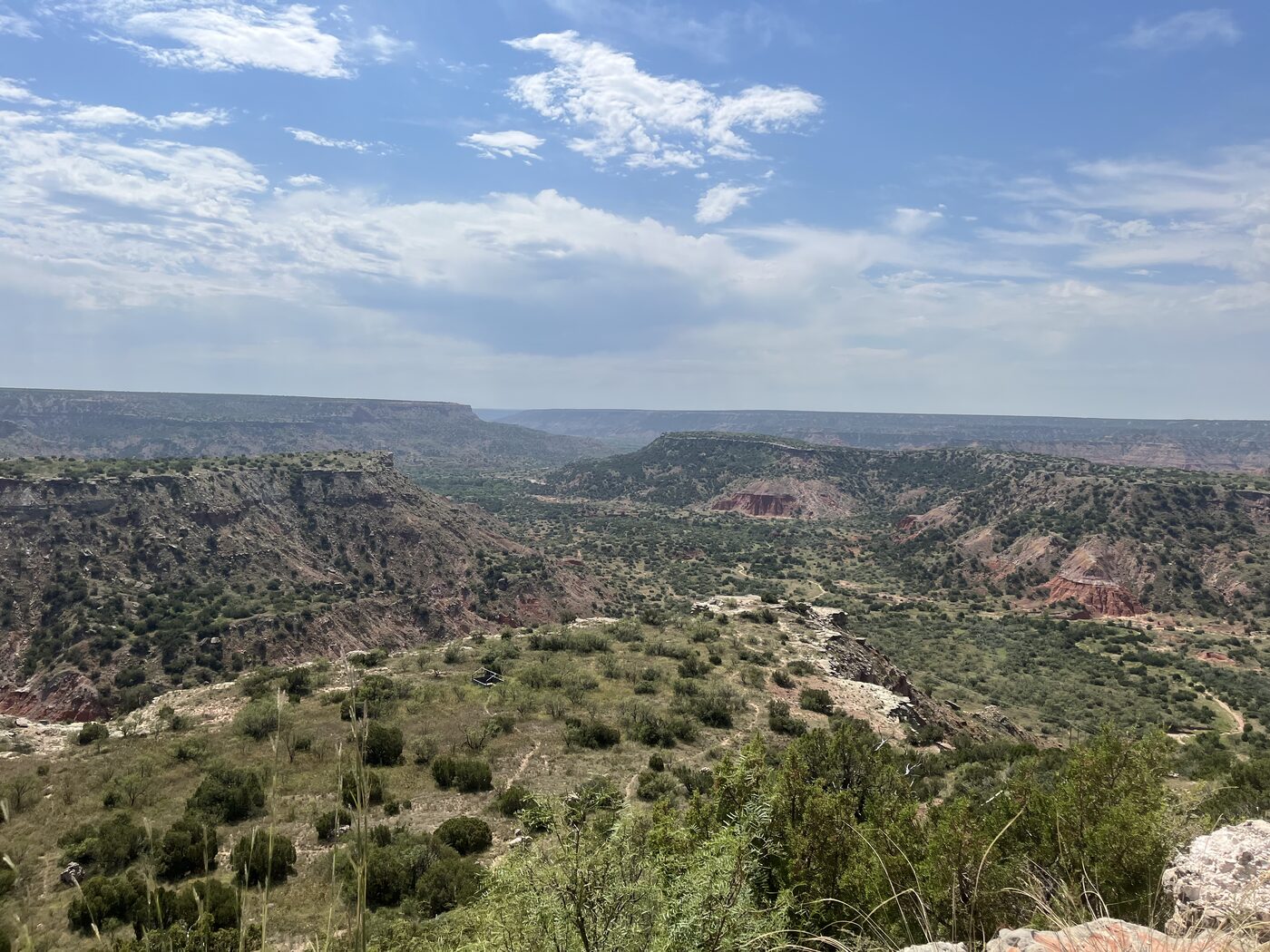 Photo taken in Randall County, TX on August 9, 2025