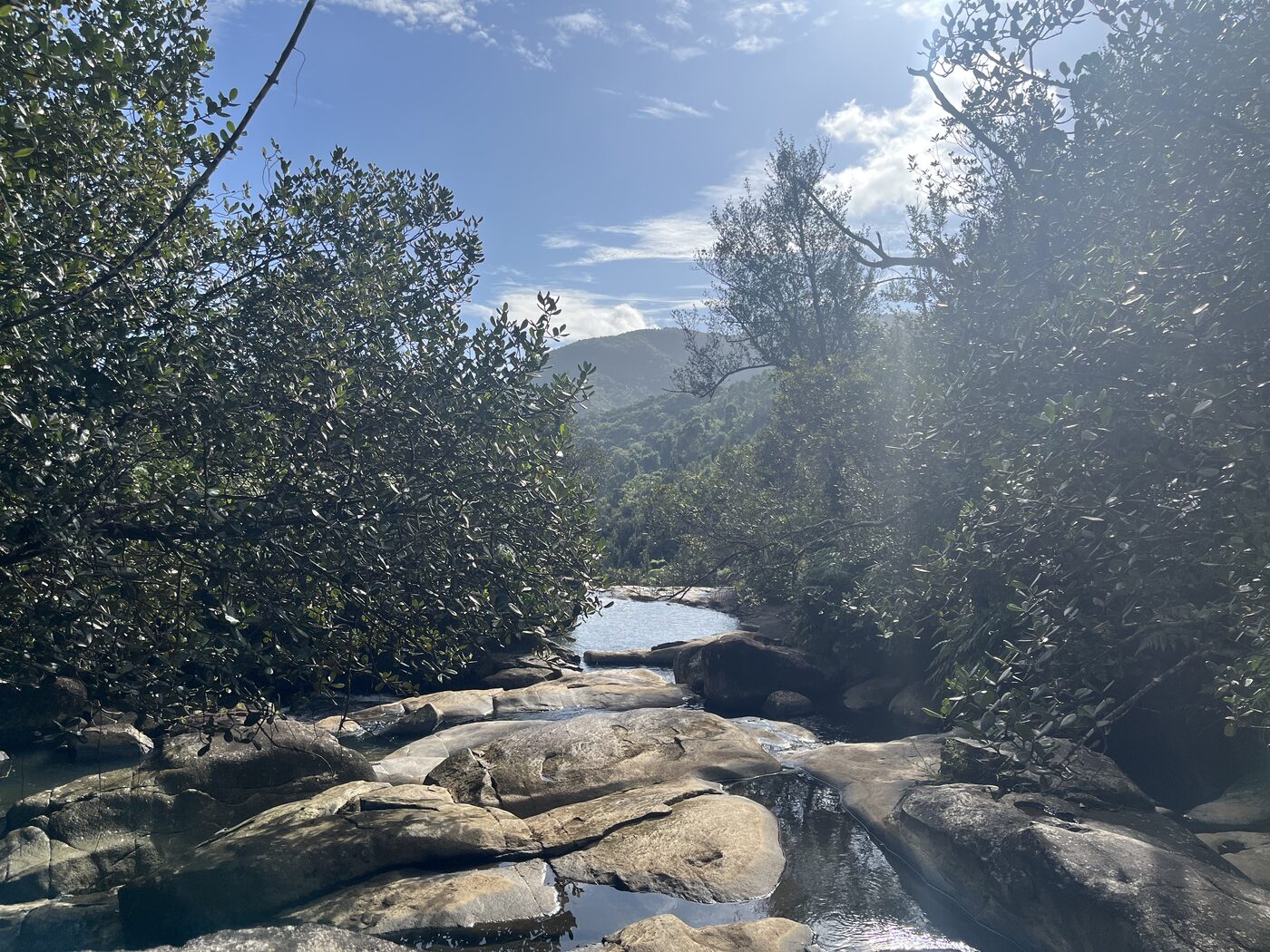 Photo taken in Naguabo, PR on December 15, 2025
