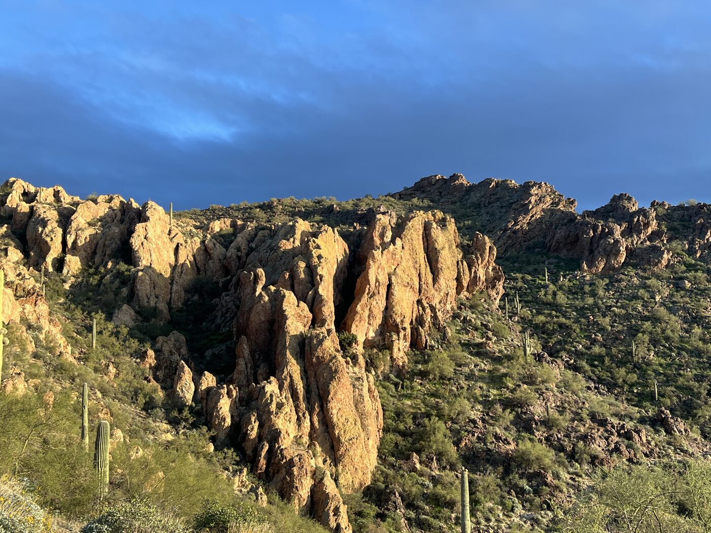 Photo taken in Maricopa County, AZ on January 1, 2026