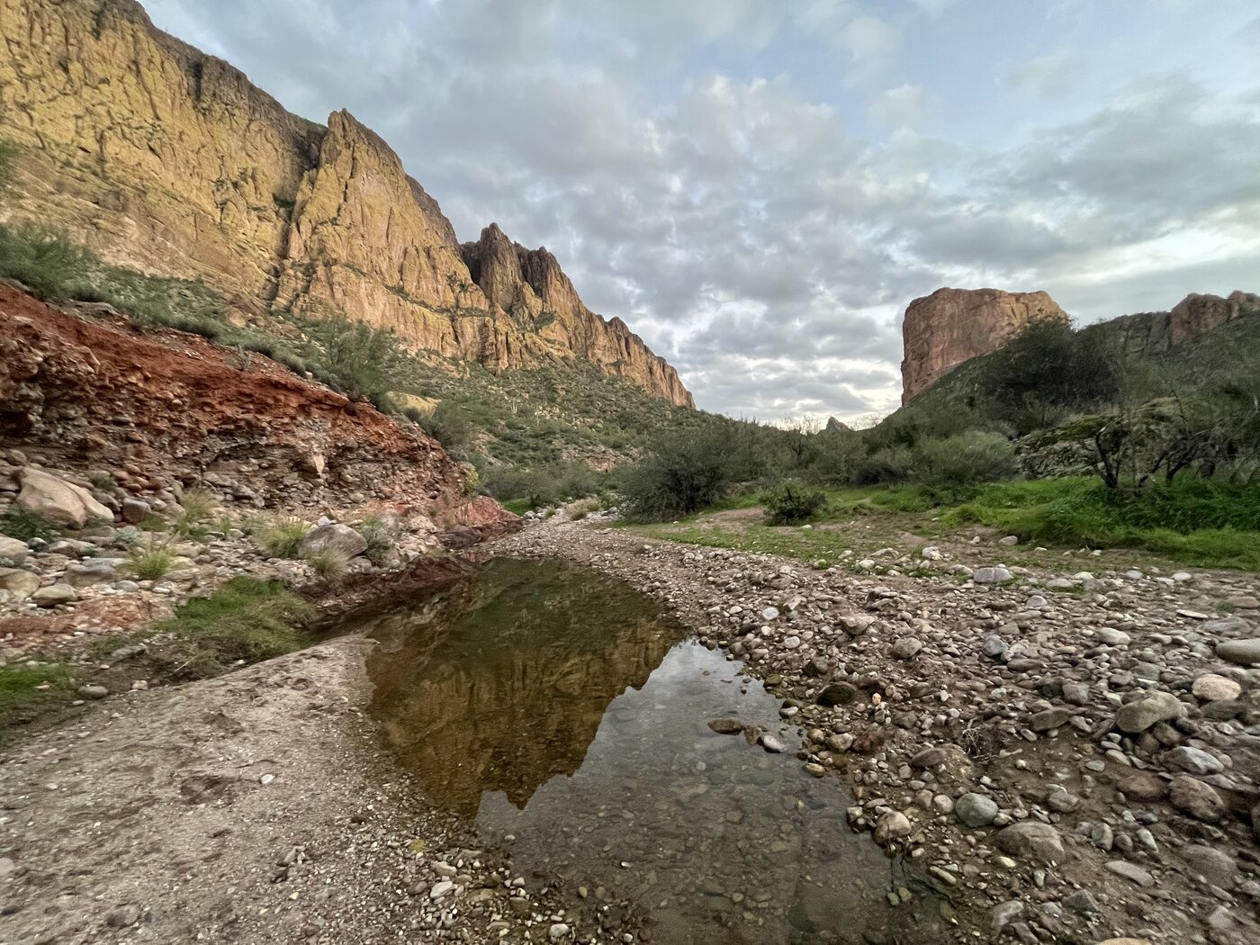Photo taken in Maricopa County, AZ on January 1, 2026