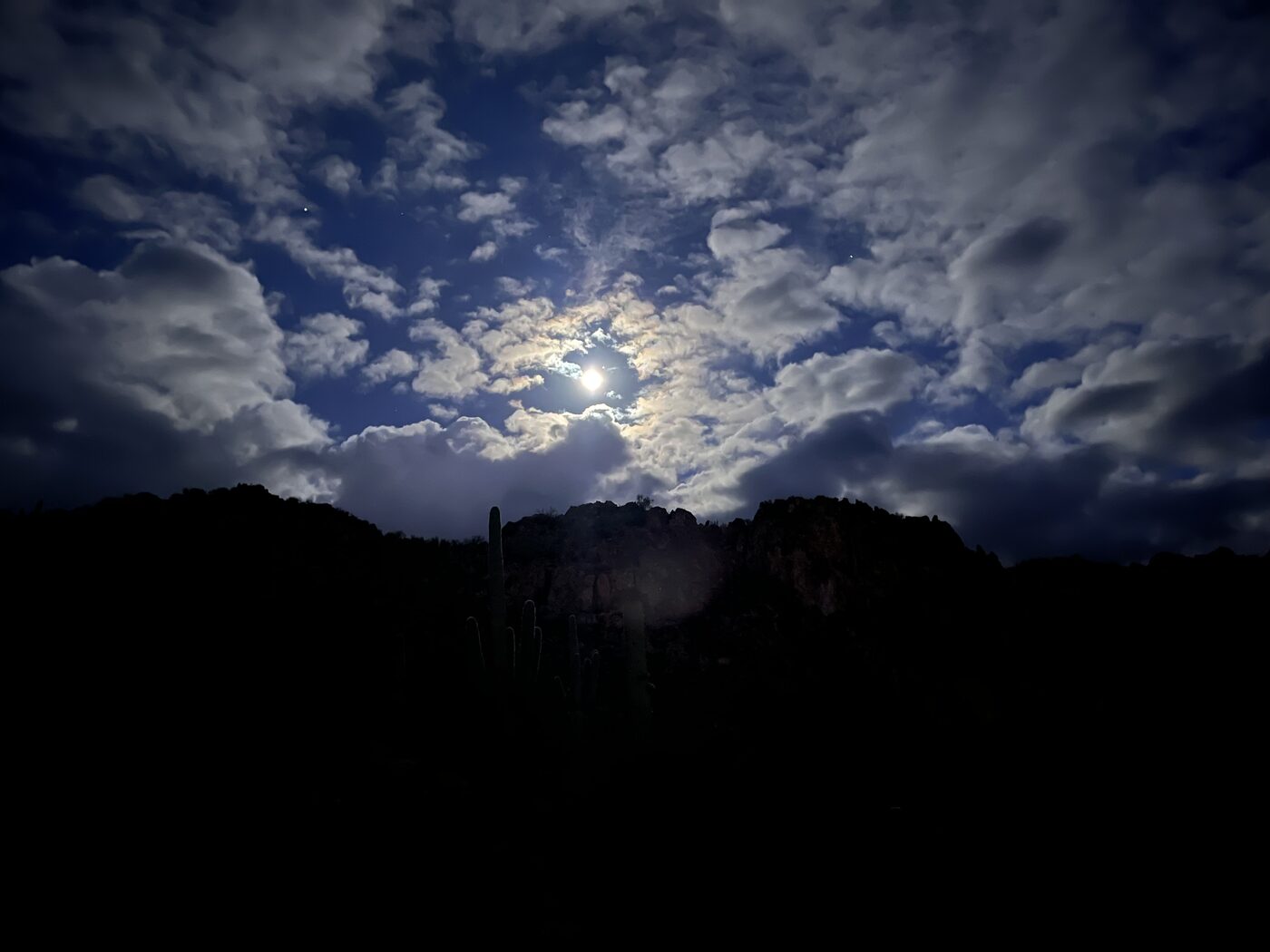 Photo taken in Maricopa County, AZ on January 1, 2026