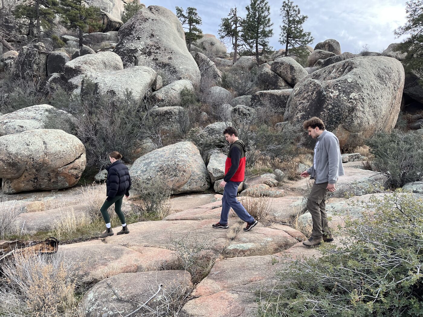 Photo taken in Yavapai County, AZ on January 3, 2026