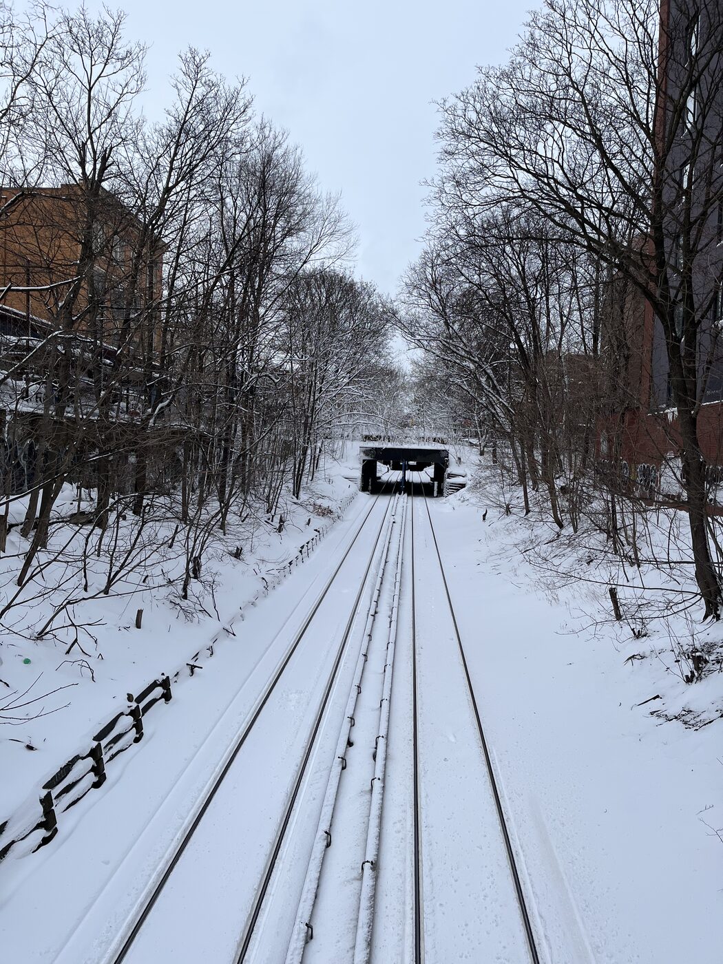 Photo taken on February 23, 2026