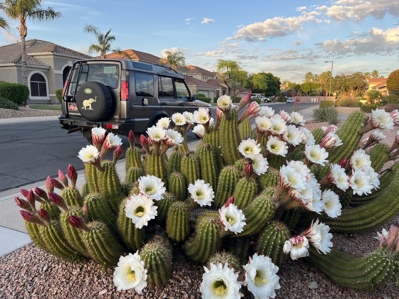 Photo taken in Gilbert, AZ on April 10, 2026
